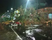 Árvore cai sobre moto no bairro Luizote de Freitas