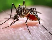 Epidemia do Zika vírus é culpa das autoridades pol