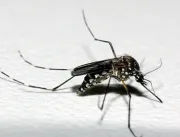 Em apenas sete dias, casos prováveis de dengue em 