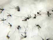 Uberlândia registra duas novas mortes por dengue