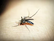 Estado confirma a 4ª morte por dengue em Uberlândi