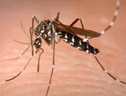 Após visita a áreas com Zika, relação sexual deve 