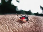 Mais uma morte por dengue é confirmada em Uberlând