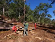 Ibama identifica desmatamento de 25 hectares em ár