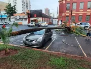 Árvore cai sobre carro estacionado na praça Clarim