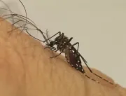 Uberlândia tem mais uma morte suspeita por dengue 