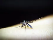 Uberlândia confirma mais uma morte por dengue