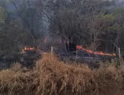 Incêndios no Parque do Pau Furado reduzem 76% em u