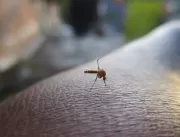 Uberlândia confirma 8ª morte por dengue em 2024