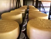 Concurso irá escolher os melhores queijos artesana