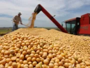 Produção de grãos deve ter queda de quase 9% em re