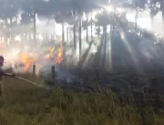 Incêndio atinge chácaras próximas à cachoeira da S