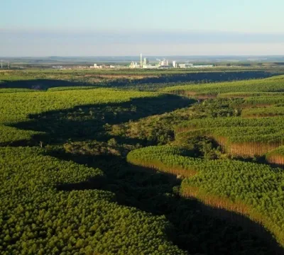 1 bilhão de árvores em todos os biomas do Brasil.