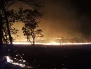 Incêndio destrói 89 alqueires de pasto e mata nati