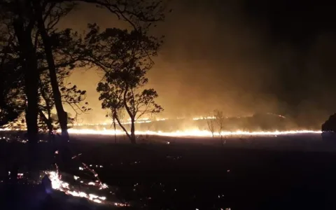 Incêndio destrói 89 alqueires de pasto e mata nati