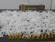 Polícia apreende 1.960 pedras de crack em Colatina