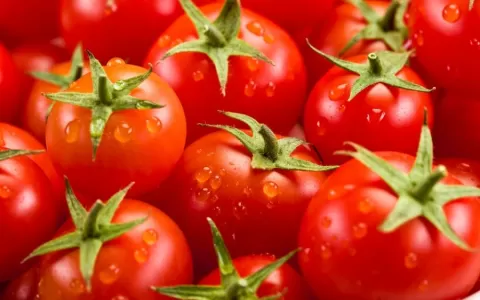 Economista prevê queda no preço do tomate