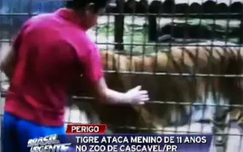 Menino atacado por tigre diz que pai não teve culp