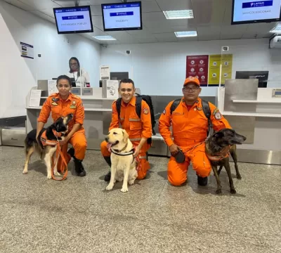 Maranhão envia cães de resgate para missão humanit