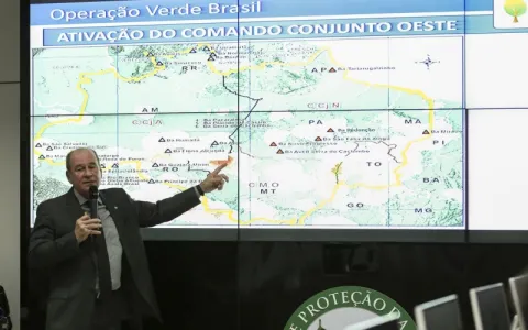 Operação Verde Brasil: multas na Amazônia somam R$ 36 milhões 