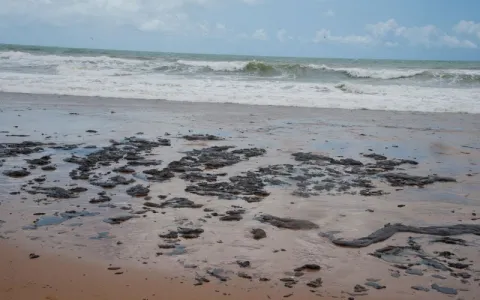 Mais de 525 toneladas de resíduos foram retiradas de praias com óleo 