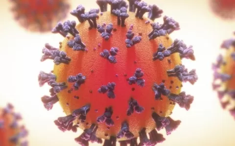 MA registra 5.025 mortes pelo novo coronavírus e m
