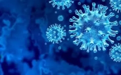 MA registra 5.759 mortes pelo novo coronavírus e m