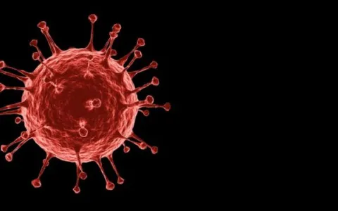 MA registra 6.691 óbitos e mais de 259 mil casos confirmados do novo coronavírus