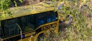 Criança fica ferida após ônibus escolar cair de um Barranco