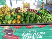 Governo do Maranhão promove Super Feira da Agricultura Familiar em São Luís