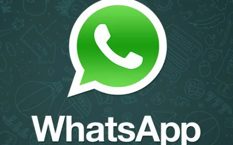 Brasileiros elegem WhatsApp como seu aplicativo favorito