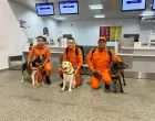 Maranhão envia cães de resgate para missão humanit