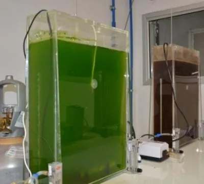Pesquisa da Embrapa identifica microalgas que geram biocombustíveis