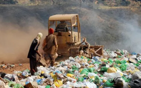 América Latina joga 145 mil toneladas de lixo orgâ