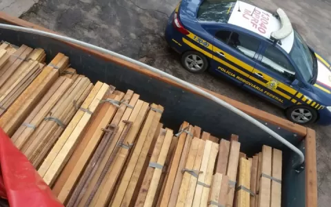 Carregamento ilegal de madeira é apreendida na BR-