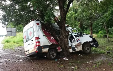 Ambulância derrapa na pista e colide em árvore na 