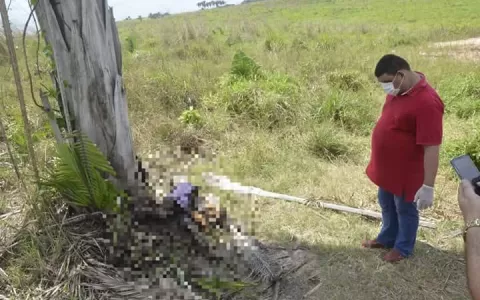 Cadáver é encontrado sem cabeça em Vitorino Freire