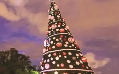 ​Árvore de Natal da cidade é inaugurada no Parque 