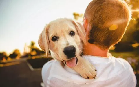 Pet Terapia: cães auxiliam crianças e adultos com 