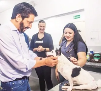 ​Prefeito inaugura centro de esterilização de cães e gatos na Zona Sul