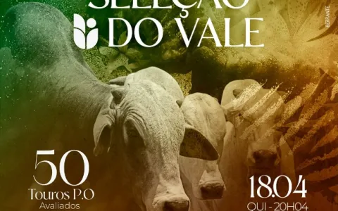 Fazenda Lírio do Vale oferta 50 touros Nelore PO e