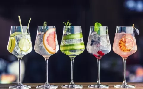 Dia Internacional da Gin Tônica: descubra como sur