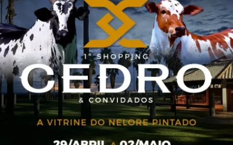 1º Shopping Cedro & Convidados acontece em Uberaba