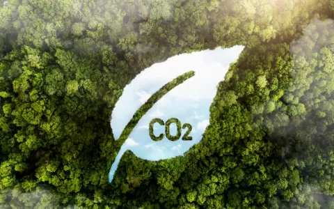 Mercado de Carbono: Brasil espera se colocar na va
