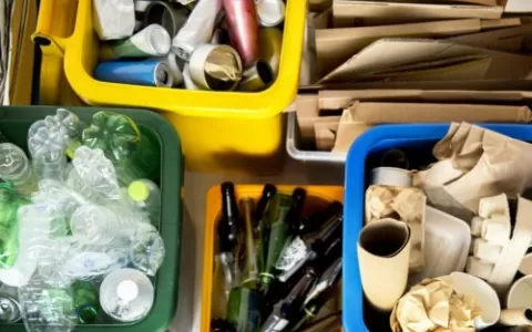 Dia mundial da reciclagem convida empresários a re