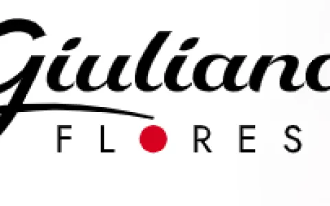 Giuliana Flores lança itens floridos com pelúcias