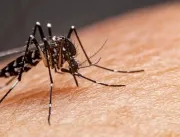 Repelentes corporais ajudam a afastar o mosquito da Dengue?
