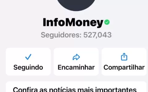 Canal do InfoMoney no WhatsApp alcança meio milhão