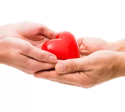 Pessoas doadoras de órgãos podem registrar sua von