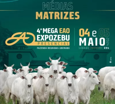 4º Mega Leilão EAO ofertará 62 animais em duas eta
